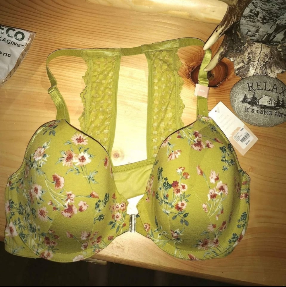 Lane Bryant (34DD)
